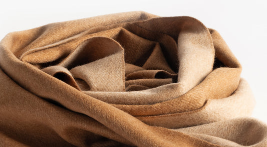 Cashmere and Vicuna Scarf - Vicuña | PIACENZA 1733