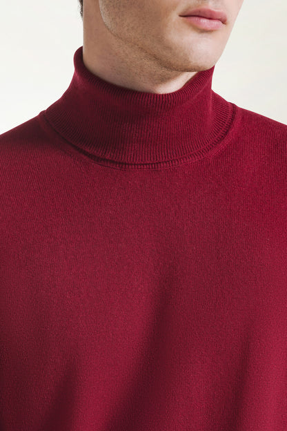 Burgundy cashmere turtleneck | PIACENZA 1733