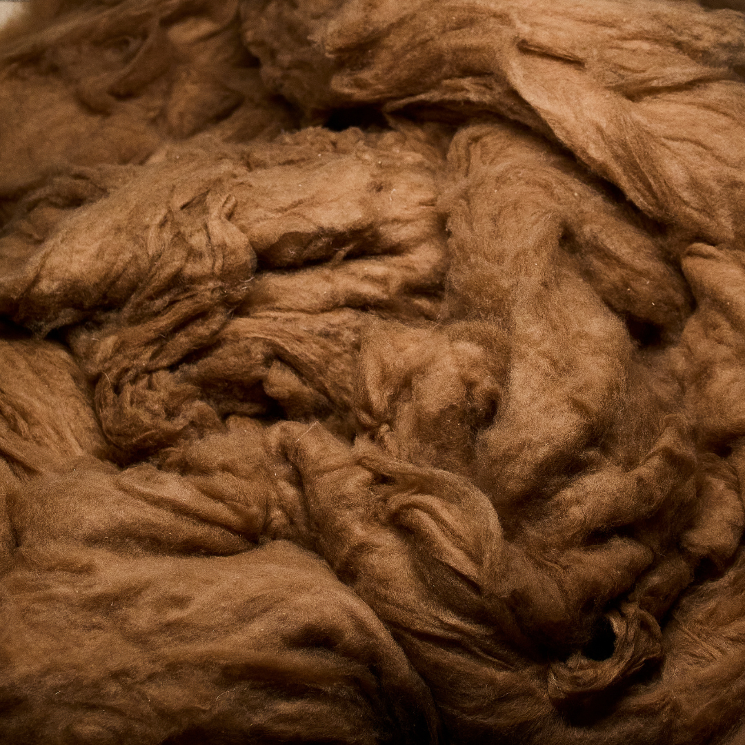 Vicũna - PIACENZA 1733